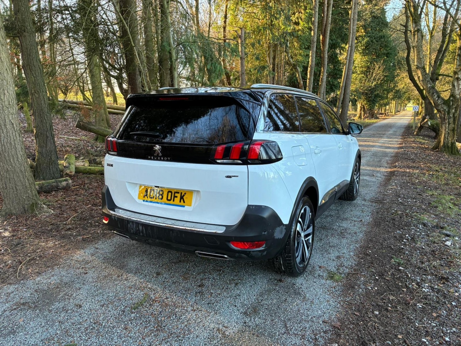 Used Peugeot 5008 2018 for sale - 77140736: Photo 9