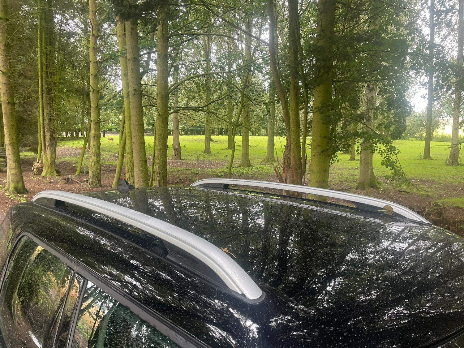 Used MINI Countryman 2019 for sale - 76905153: Photo 17