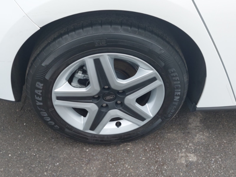 Used Ford Focus 2023 for sale - 77404951: Photo 12