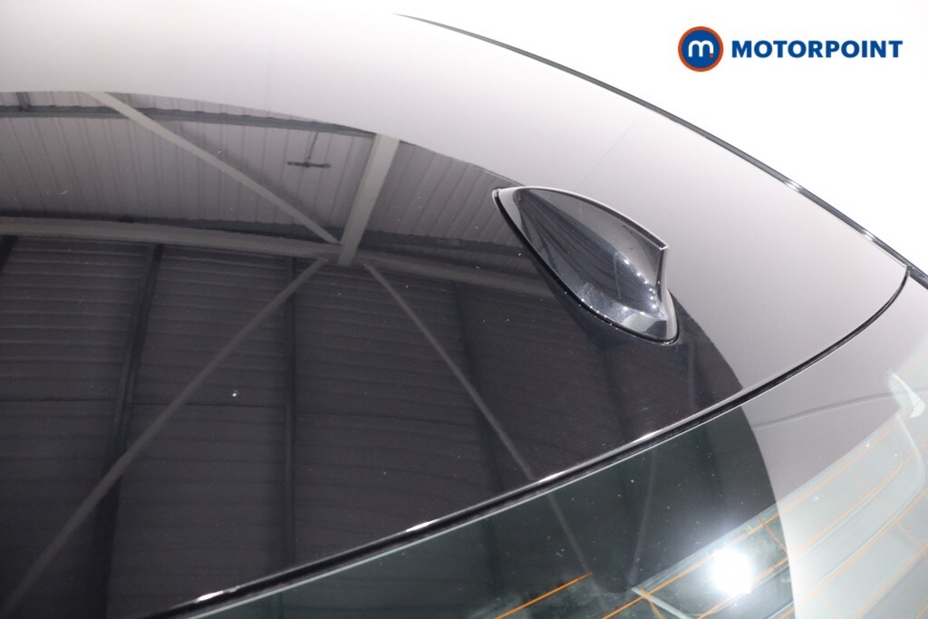 Used BMW 3 Series for sale - 77973014: Photo 39