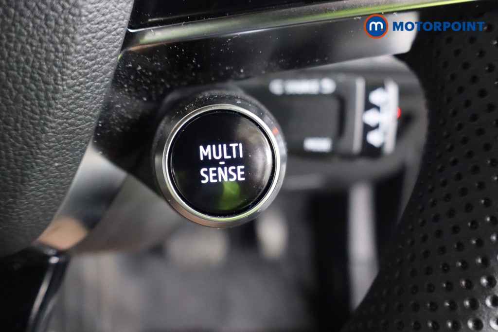 Used Renault Scenic E-Tech 2024 for sale - 76819472: Photo 22