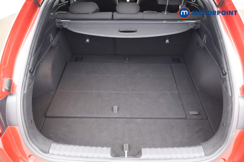 Used Kia Pro Ceed 2024 for sale - 77639812: Photo 24