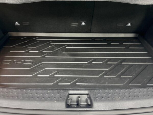 Used BYD Dolphin 2025 for sale - 75524387: Photo 17