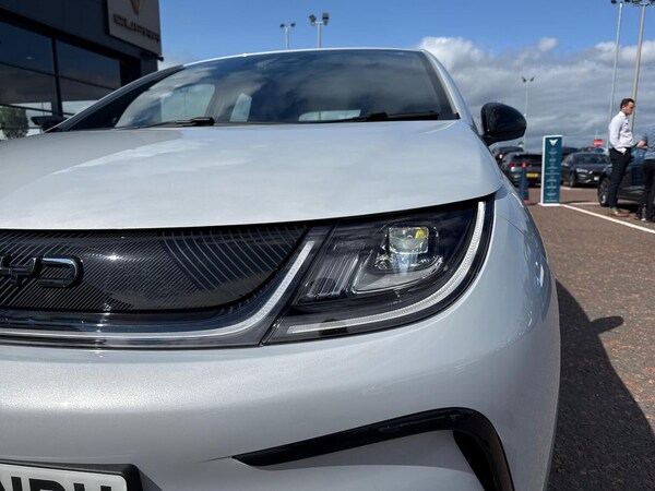 Used BYD Dolphin 2025 for sale - 75524485: Photo 34