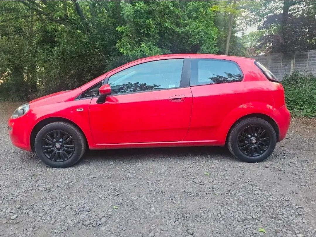 Used Fiat Punto 2013 for sale - 76859602: Photo 2