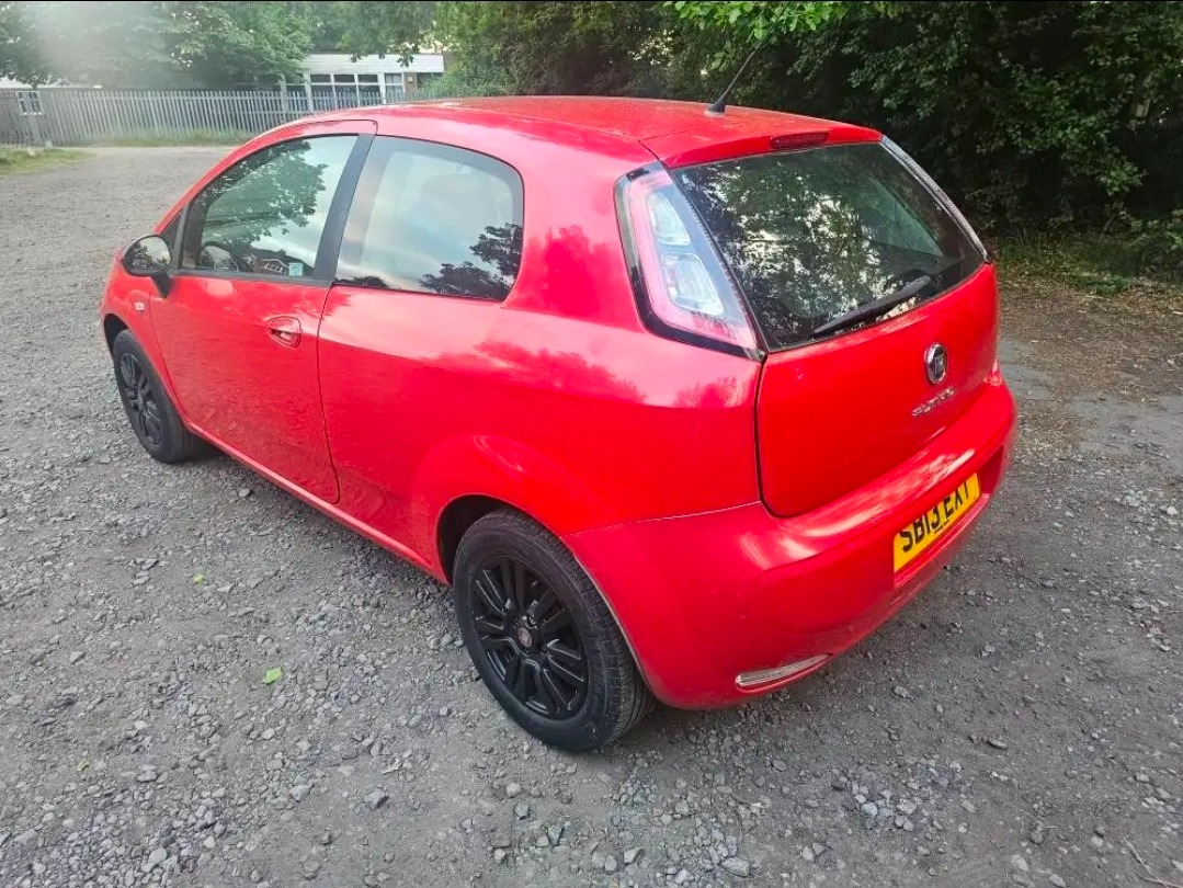 Used Fiat Punto 2013 for sale - 76859602: Photo 3