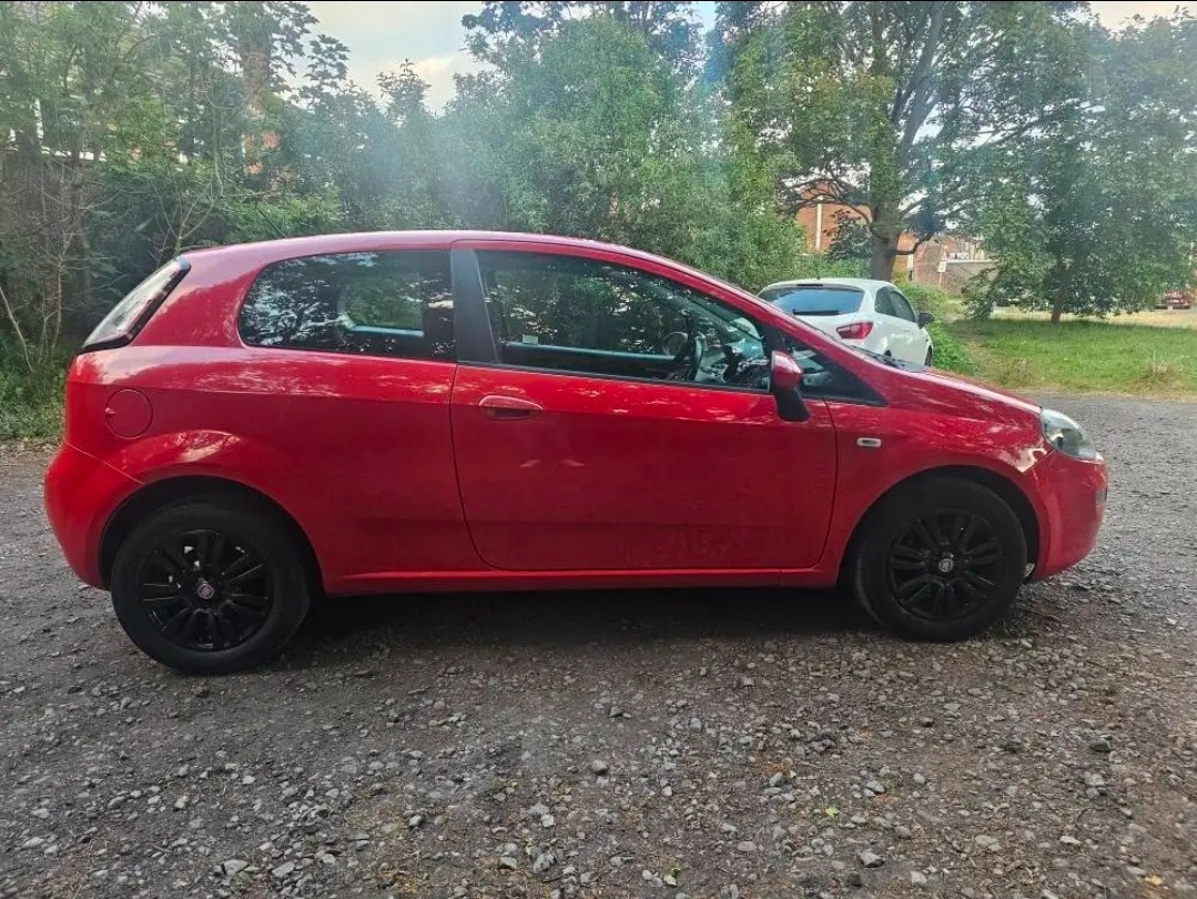 Used Fiat Punto 2013 for sale - 76859602: Photo 6