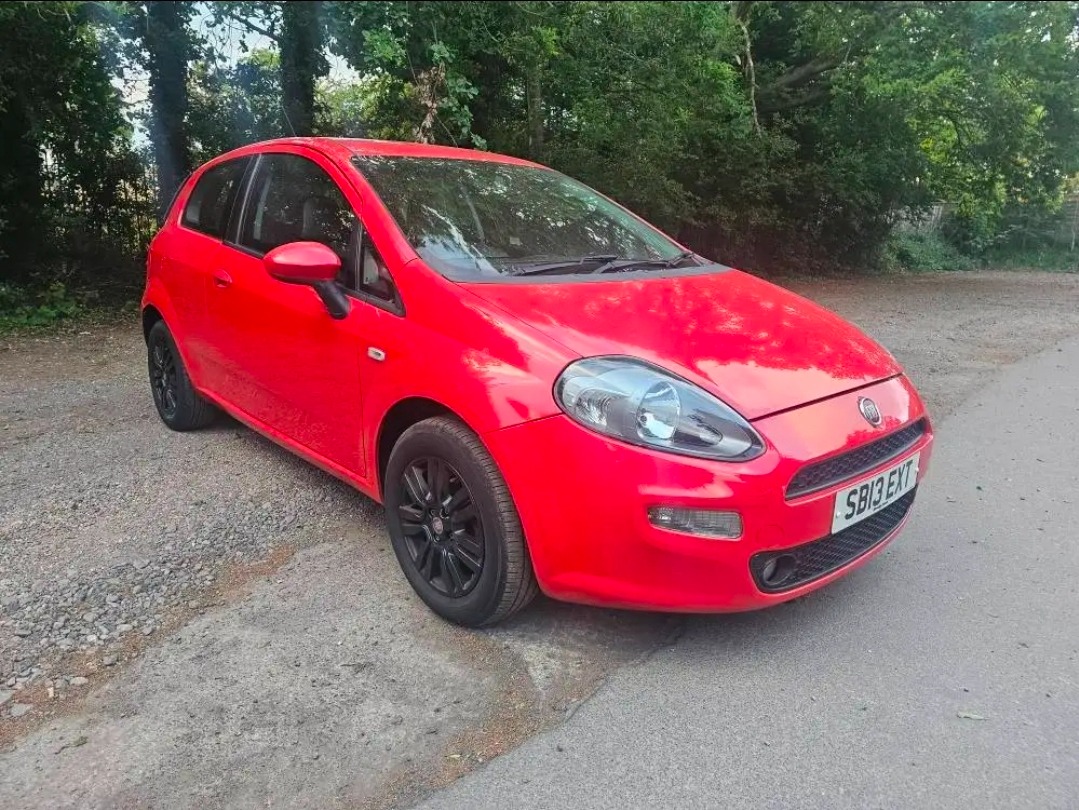 Used Fiat Punto 2013 for sale - 76859602: Photo 7