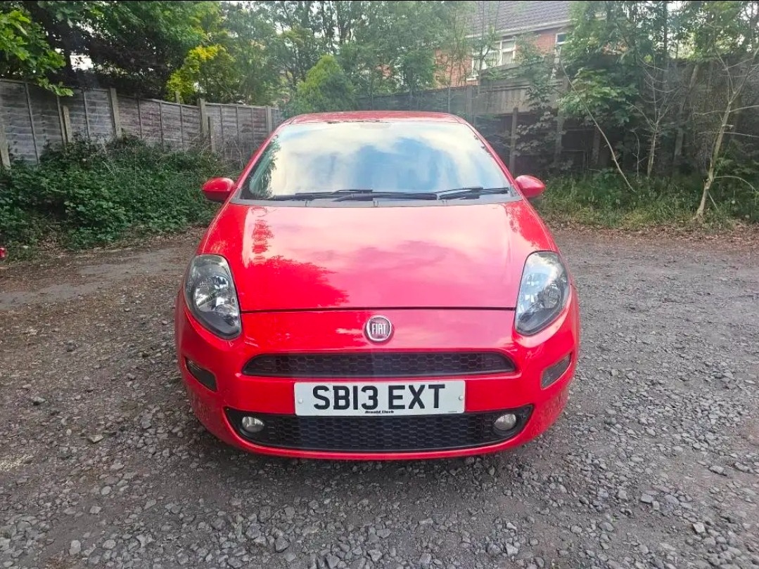 Used Fiat Punto 2013 for sale - 76859602: Photo 8