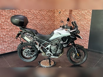 Used Triumph Tiger 2025 for sale - bike-78596756: Photo