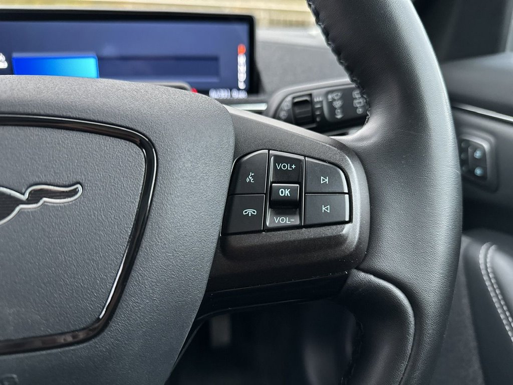 Used Ford Mustang Mach-E 2022 for sale - 76724583: Photo 24