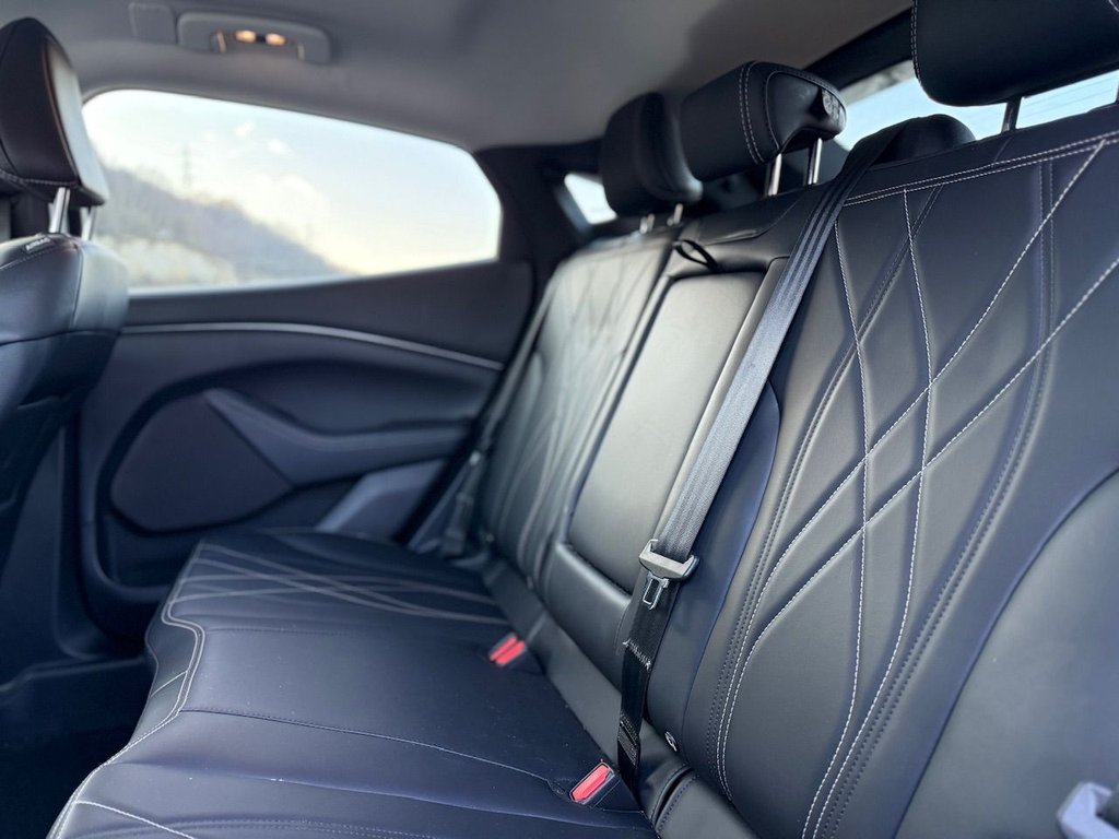 Used Ford Mustang Mach-E 2022 for sale - 77089215: Photo 20