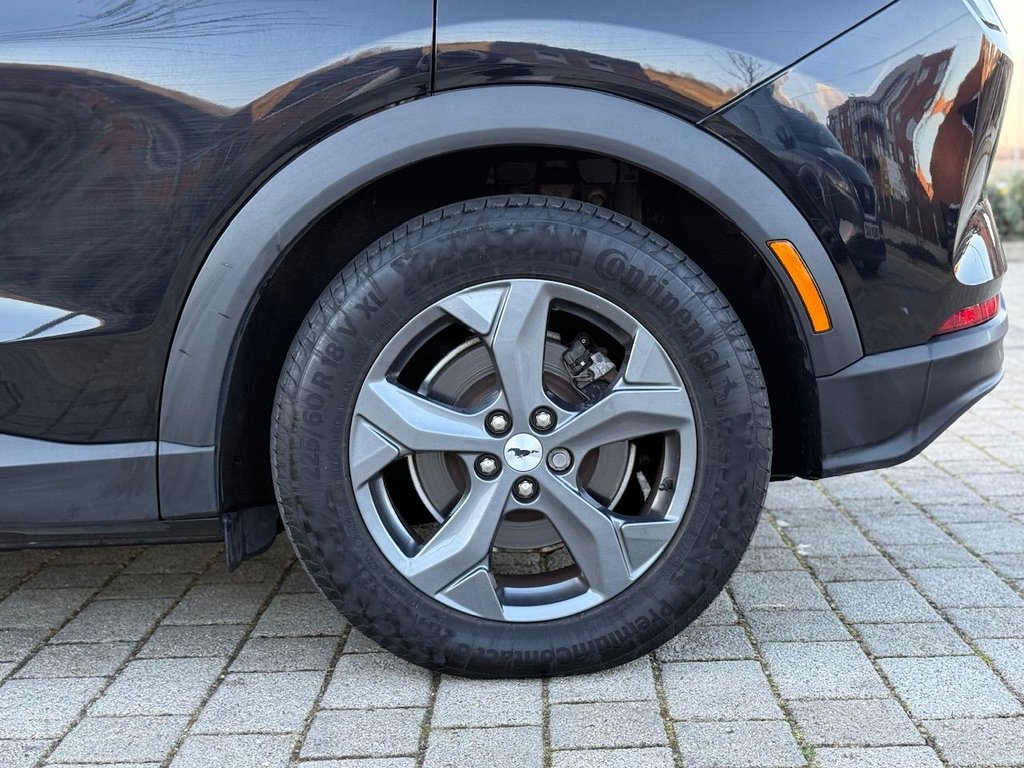 Used Ford Mustang Mach-E 2022 for sale - 77089215: Photo 24