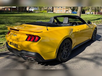 Used Ford Mustang 2024 for sale - 76994302: Photo