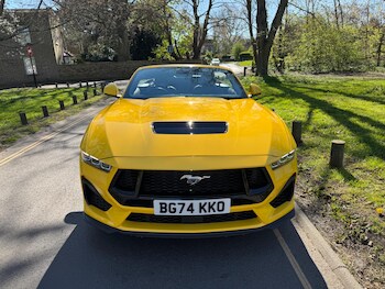 Used Ford Mustang 2024 for sale - 76994302: Photo