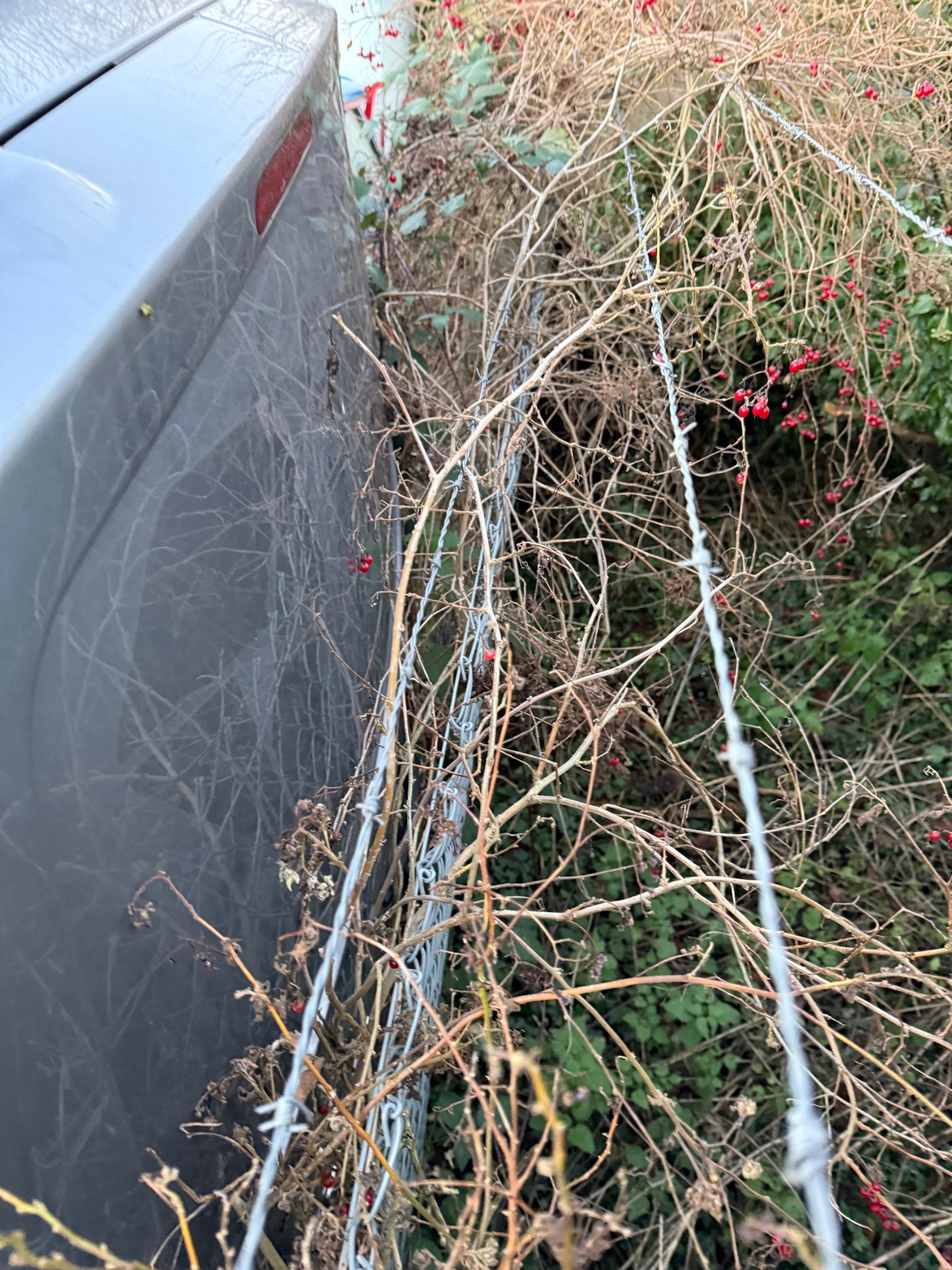 Used Citroen Dispatch 2020 for sale - 77014964: Photo 8