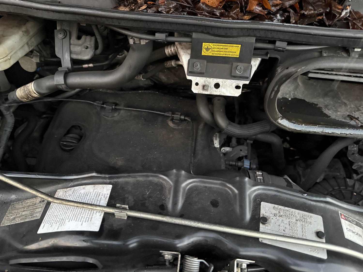 Used Citroen Relay 2019 for sale - 77014968: Photo 11