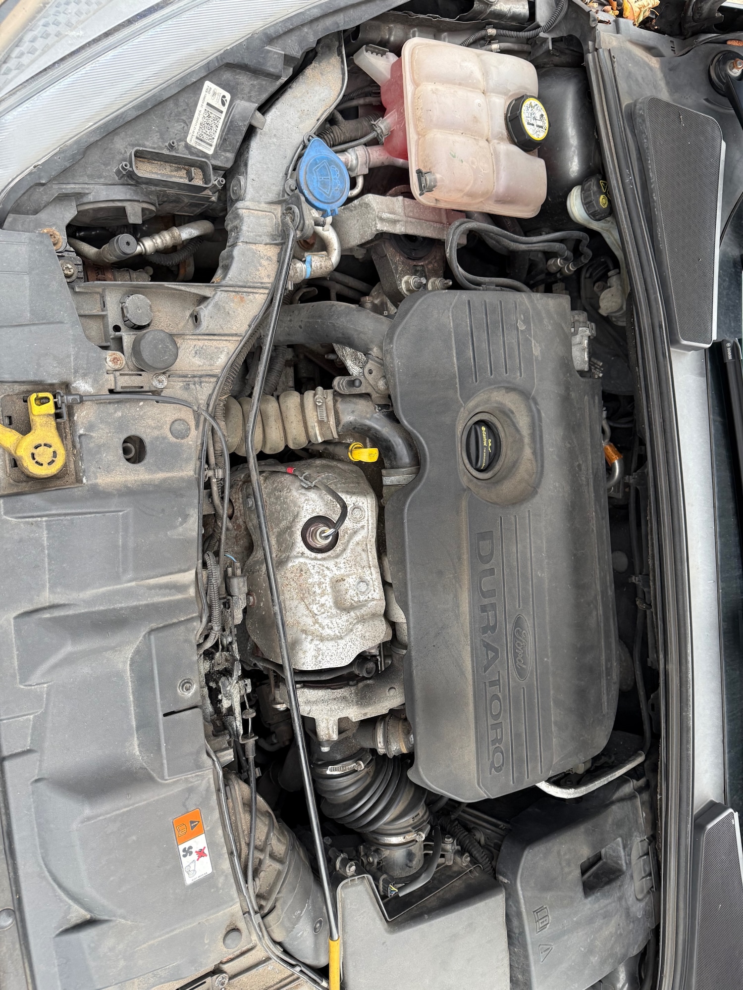 Used Ford Focus 2015 for sale - 76031264: Photo 10