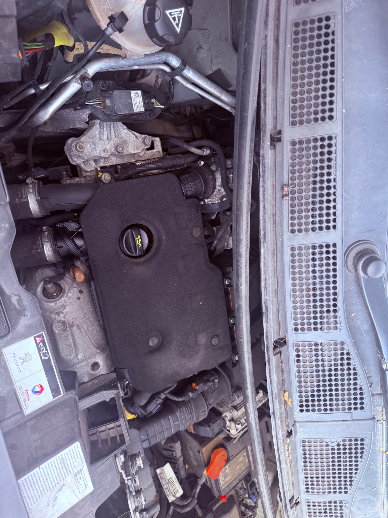 Used Peugeot Expert 2021 for sale - 77521891: Photo 8