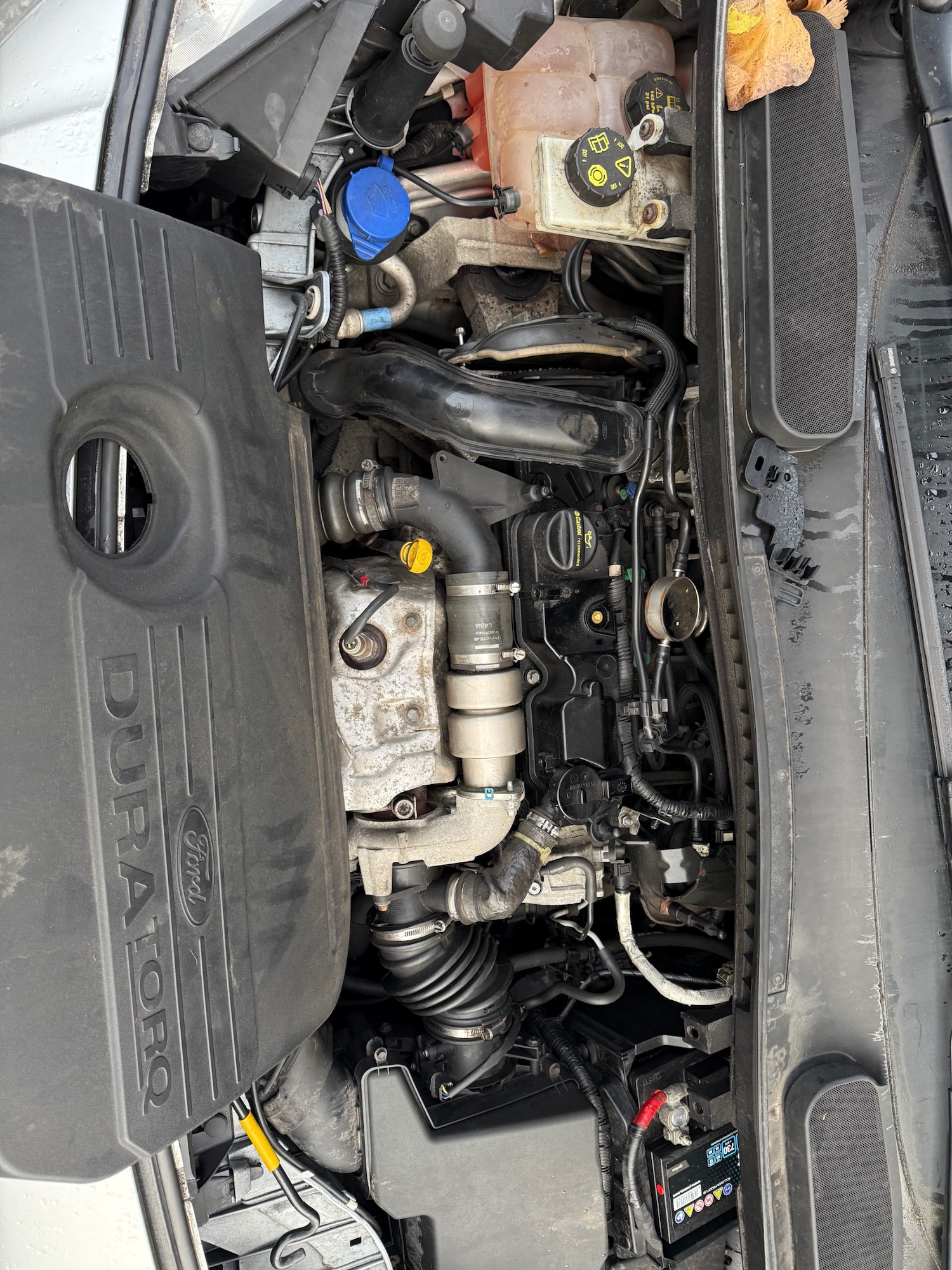 Used Ford Transit Connect 2017 for sale - 76748580: Photo 8