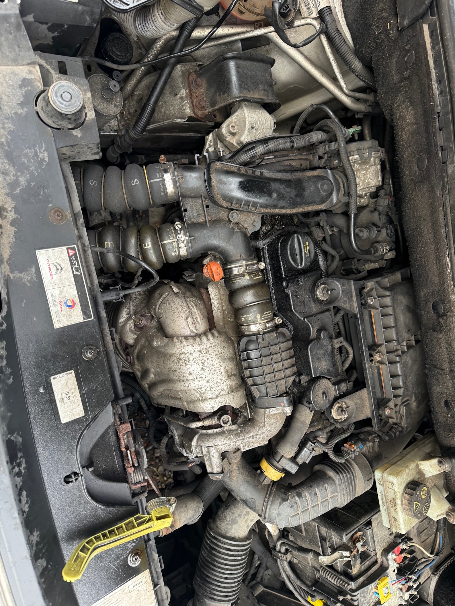 Used Citroen Berlingo 2016 for sale - 77592694: Photo 6