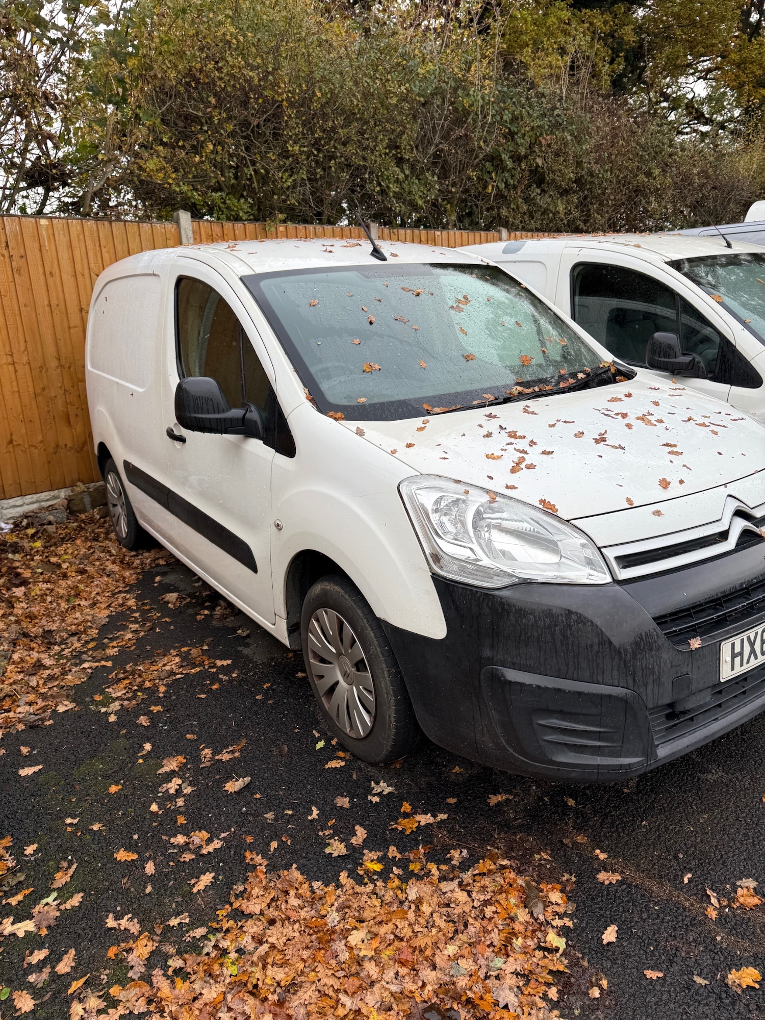 Used Citroen Berlingo 2017 for sale - 76375005: Photo 2