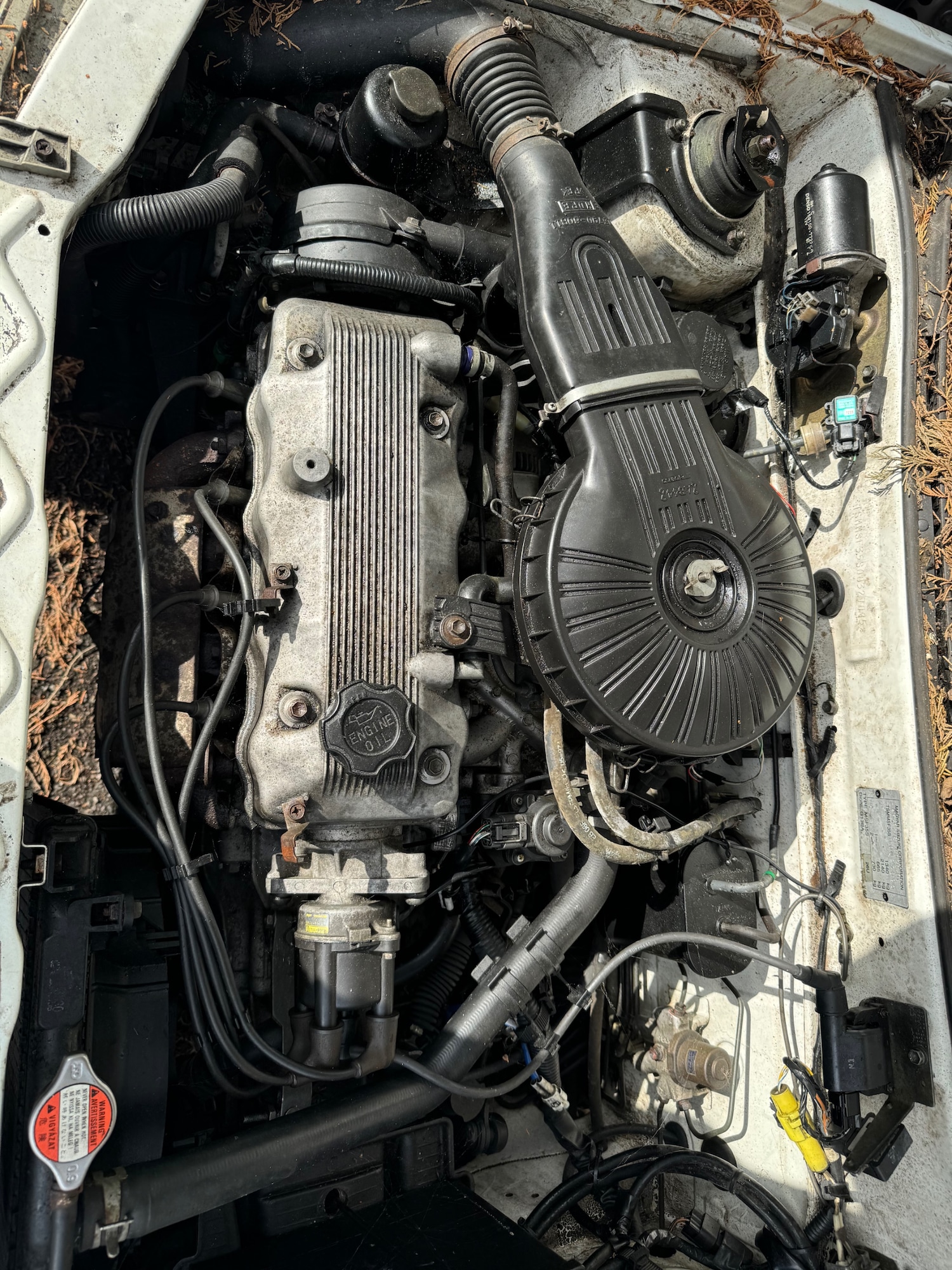 Used Subaru Justy 1999 for sale - 77162123: Photo 5