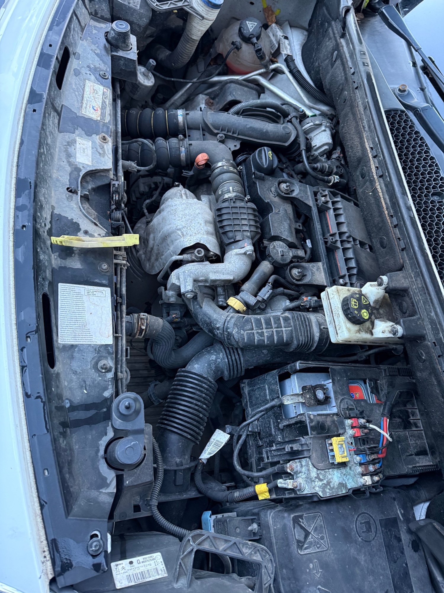 Used Citroen Berlingo 2018 for sale - 77014972: Photo 8