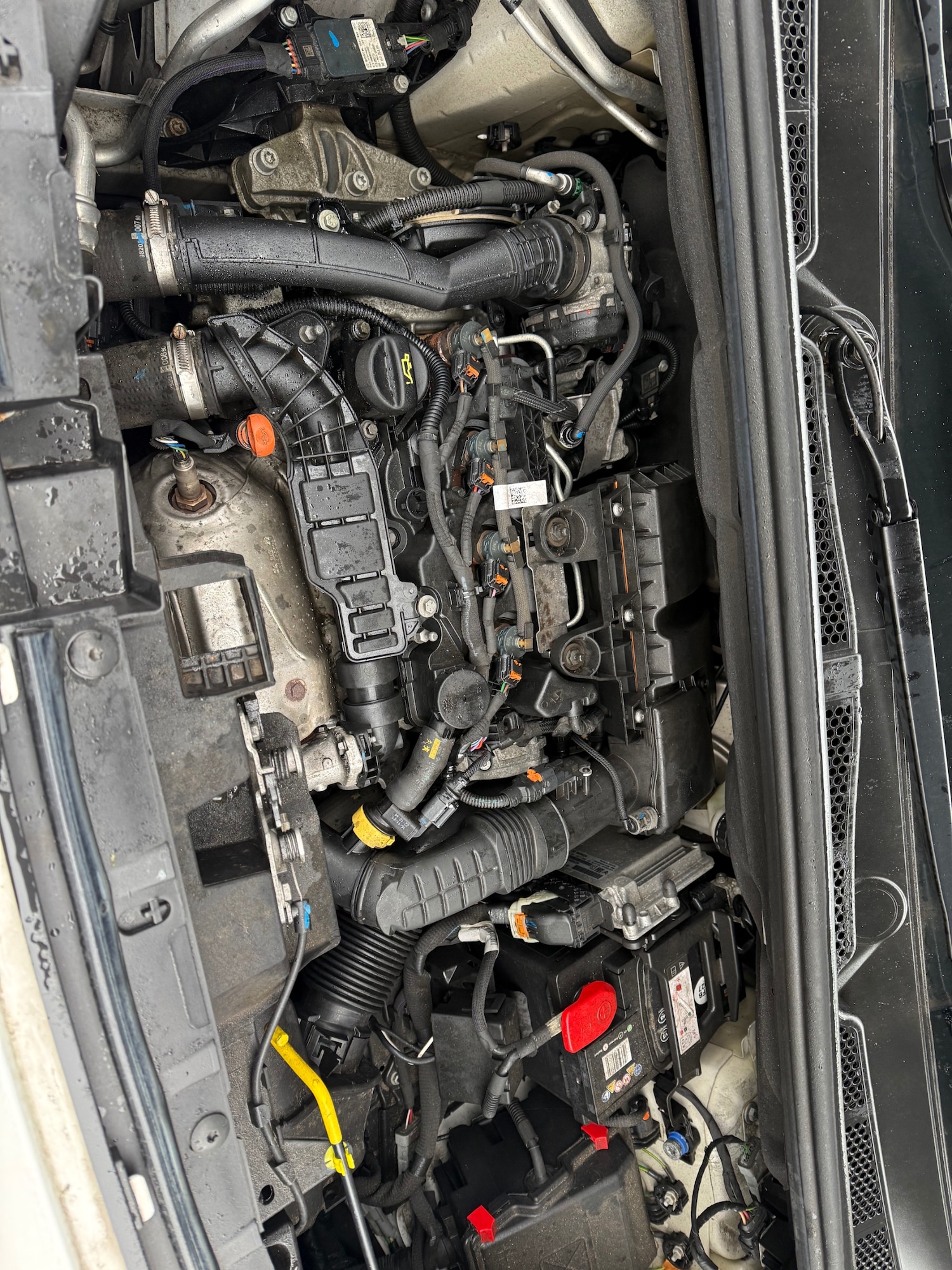 Used Citroen Berlingo 2022 for sale - 77475762: Photo 10