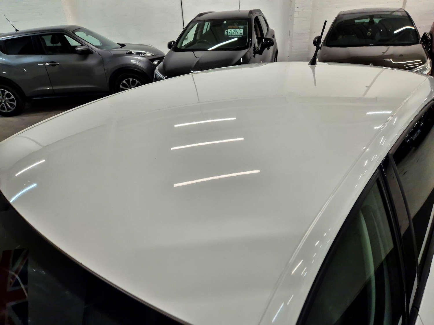 Used Volkswagen Polo for sale - 77549719: Photo 19