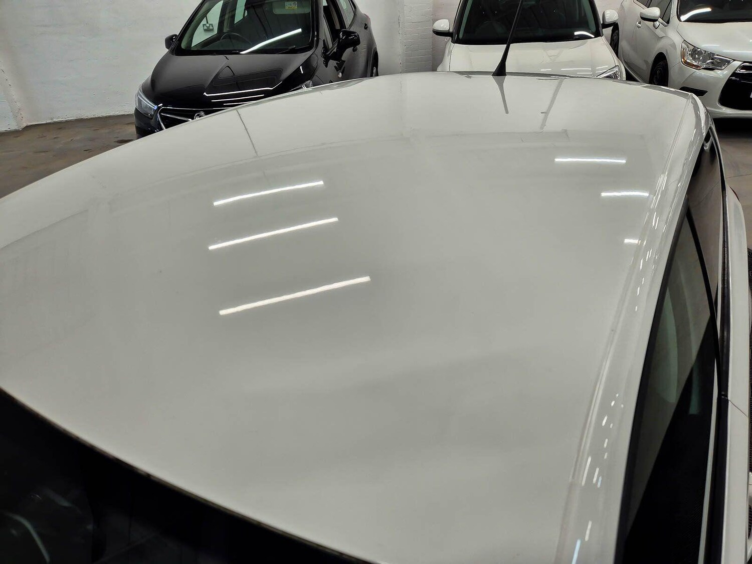 Used Volkswagen Polo for sale - 77670993: Photo 19