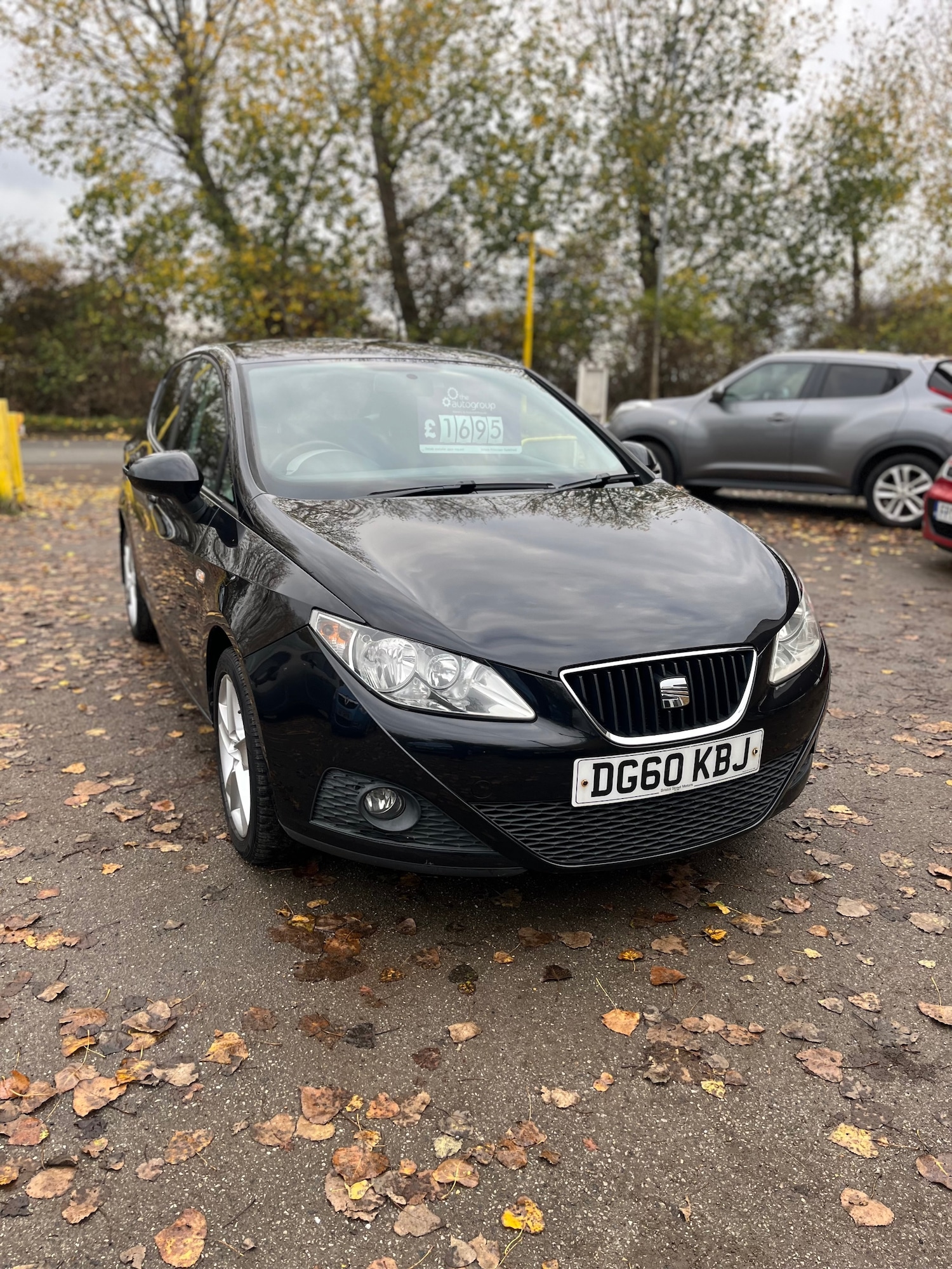 Used SEAT Ibiza 2010 for sale - 76505661: Photo 10