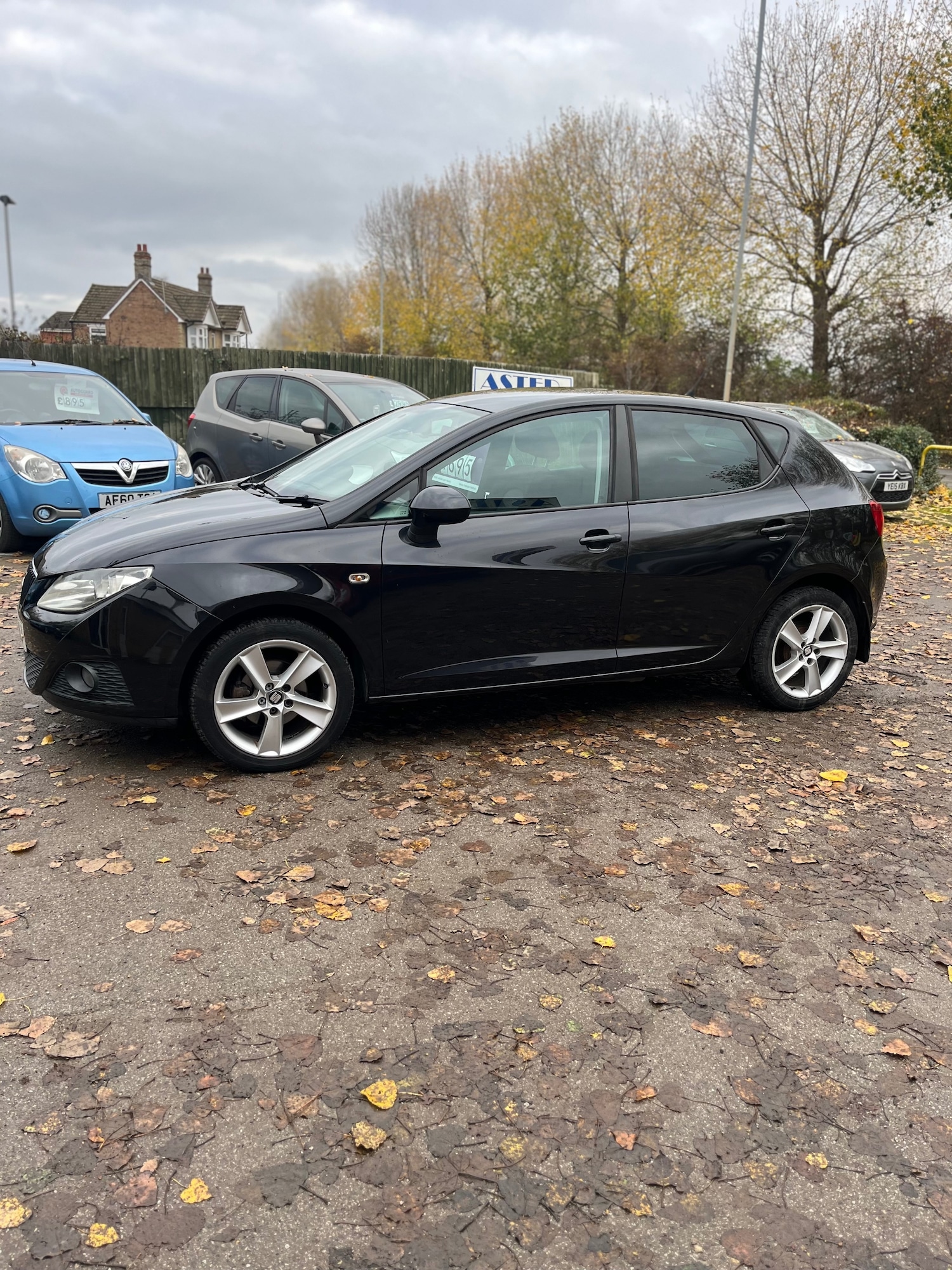Used SEAT Ibiza 2010 for sale - 76505661: Photo 2