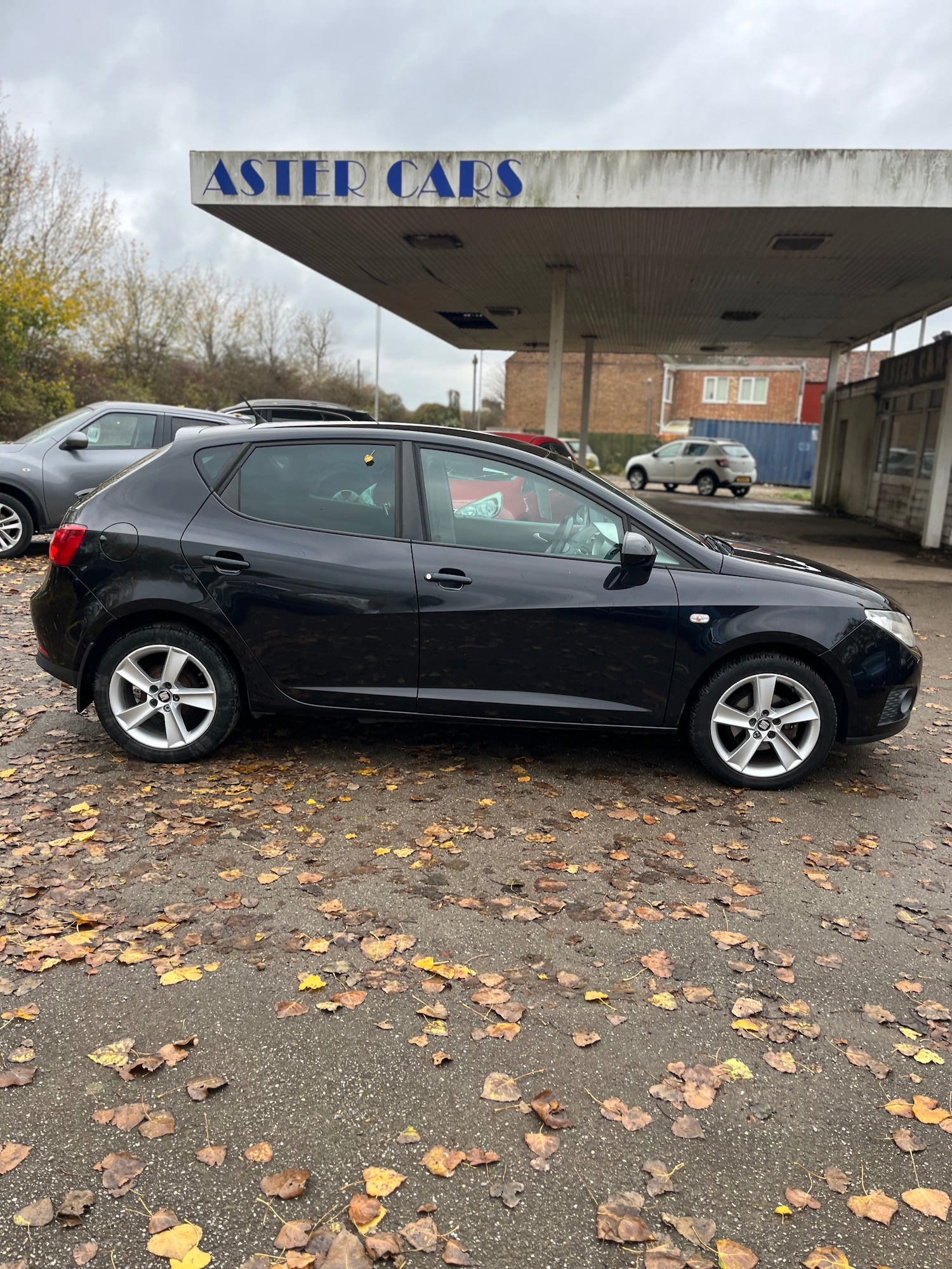 Used SEAT Ibiza 2010 for sale - 76505661: Photo 8