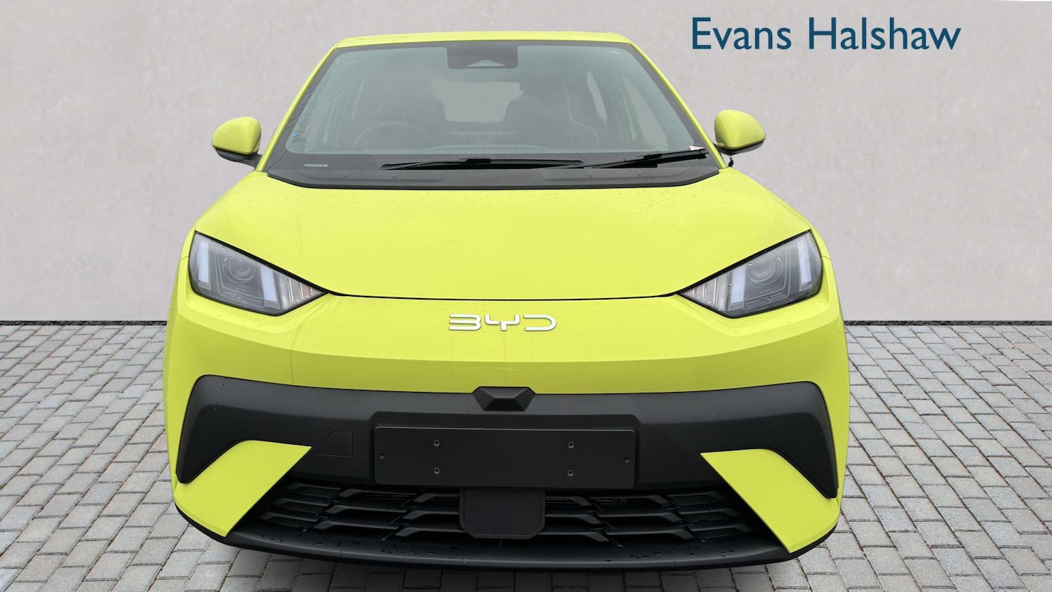 Used BYD Dolphin 2025 for sale - 77389835: Photo 4