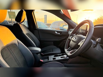 Used Ford Kuga 2024 for sale - 77443633: Photo