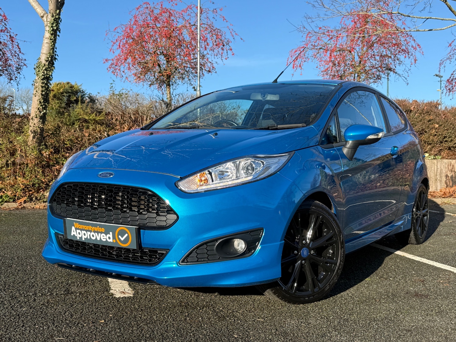 Used Ford Fiesta 2016 for sale - 76785424: Photo 3