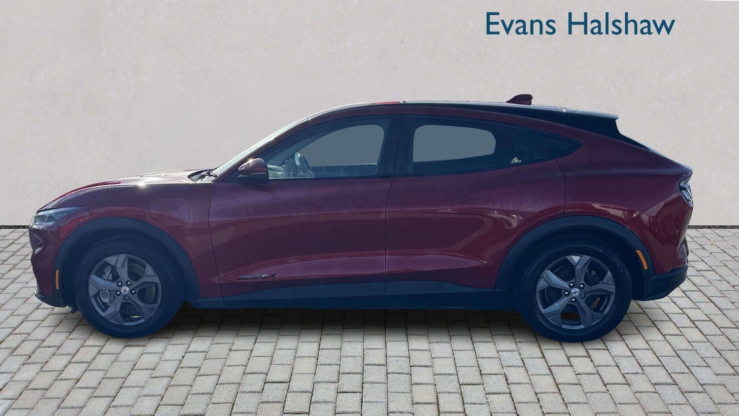 Used Ford Mustang Mach-E 2023 for sale - 77859202: Photo 3