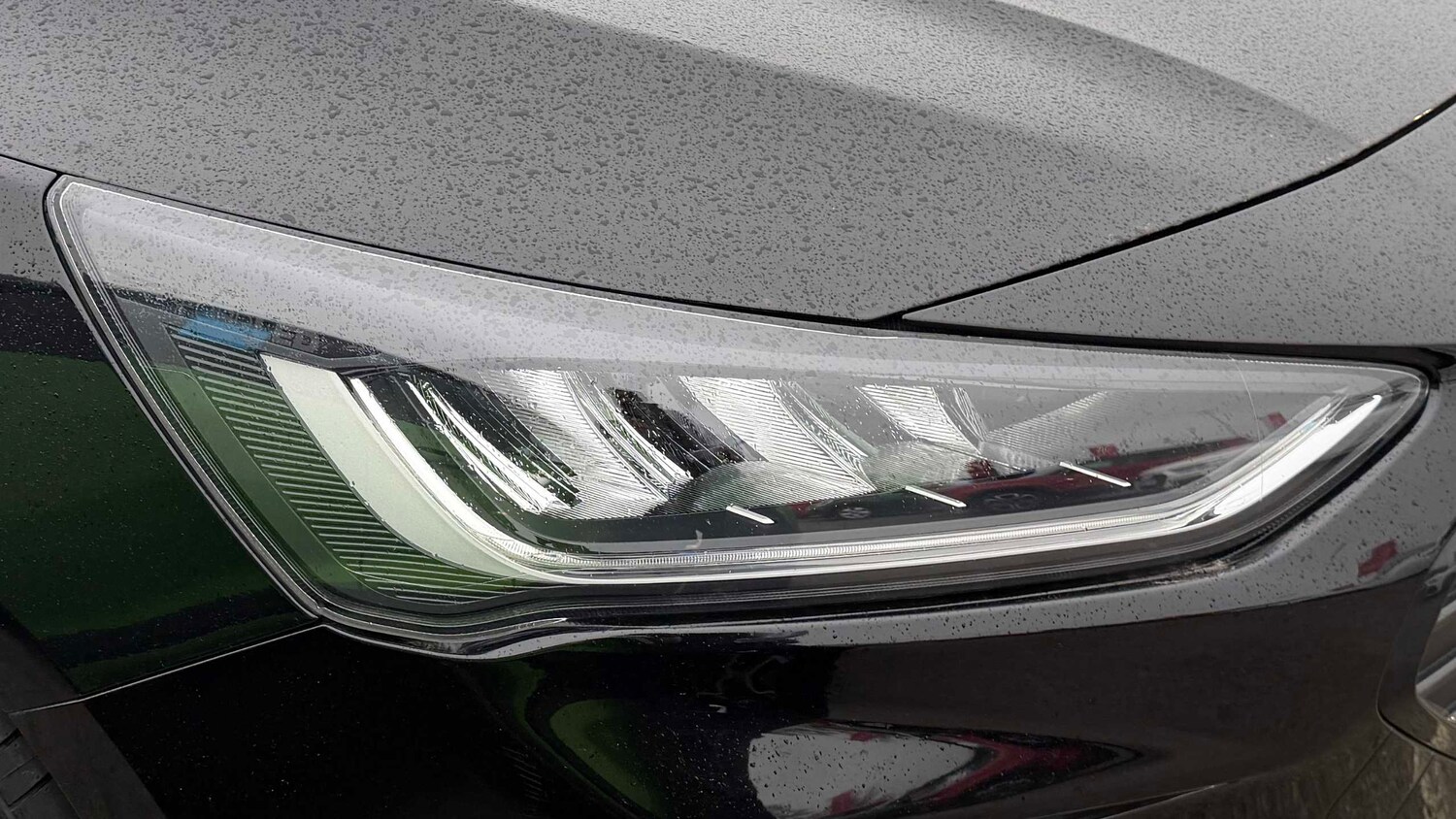 Used Ford Focus 2022 for sale - 77856579: Photo 13