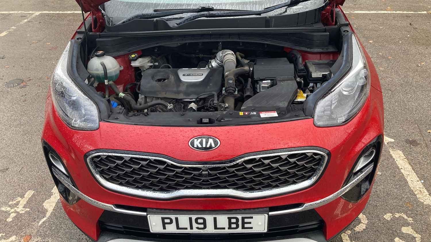 Used Kia Sportage 2019 for sale - 76653096: Photo 8