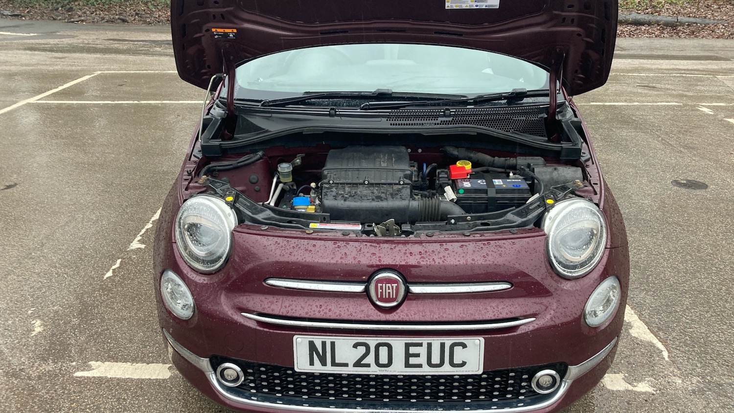 Used Fiat 500 2020 for sale - 77300274: Photo 8