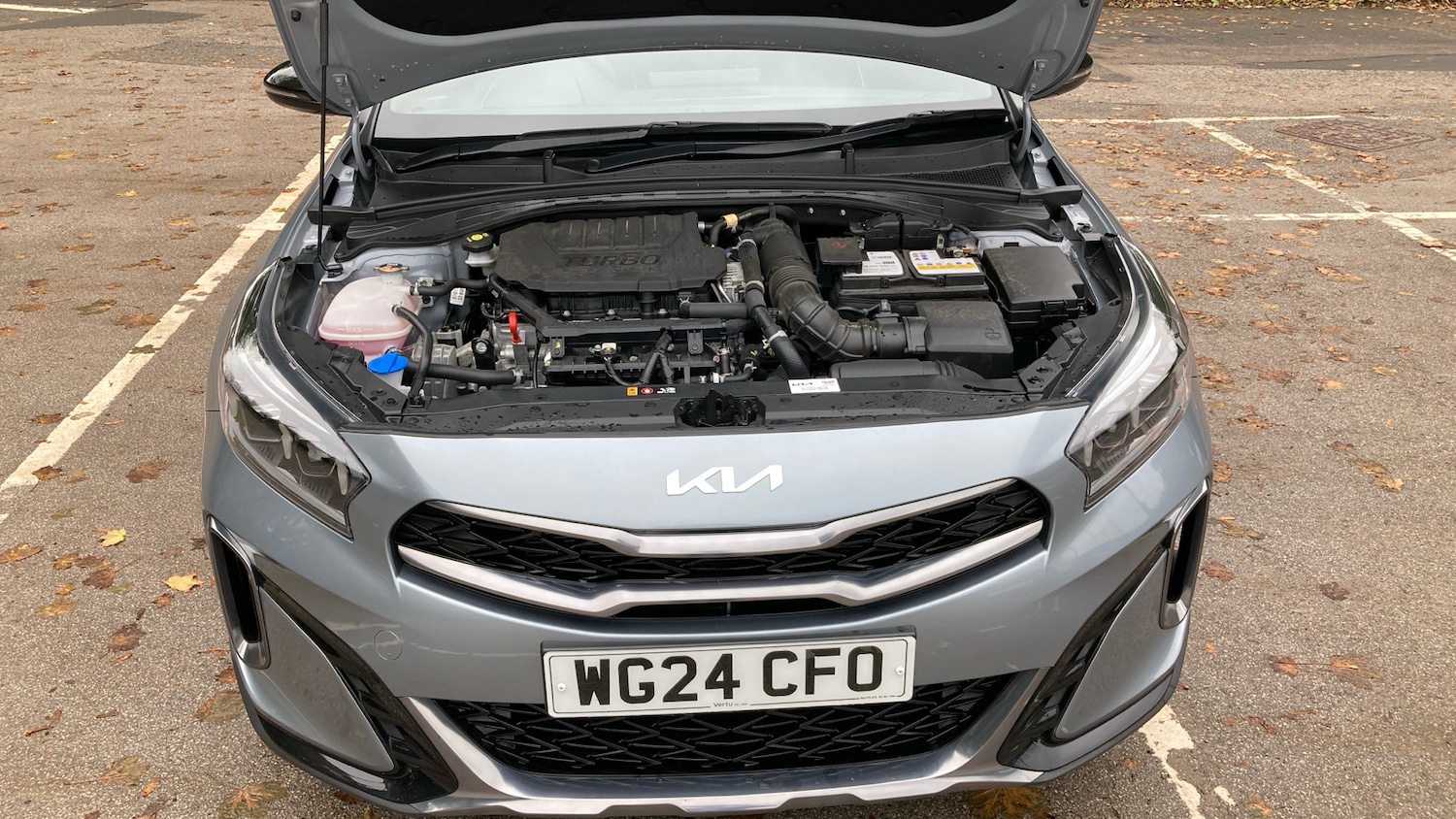 Used Kia XCeed 2024 for sale - 76117308: Photo 8