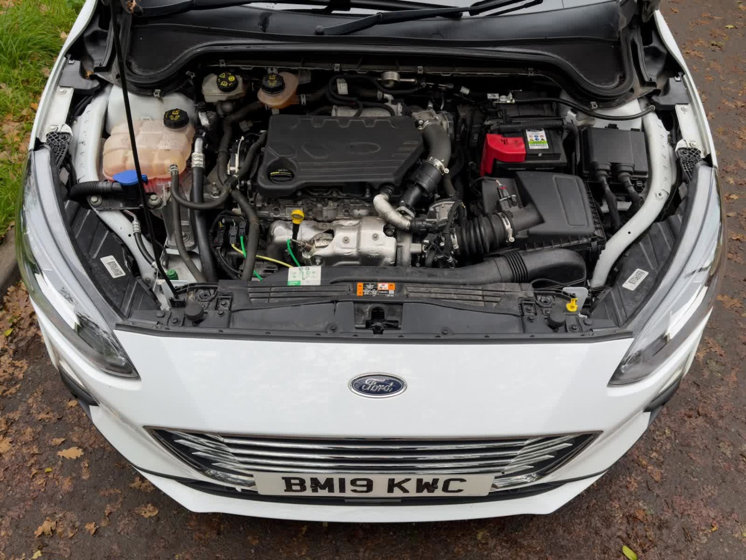 Used Ford Focus 2019 for sale - 77080747: Photo 71