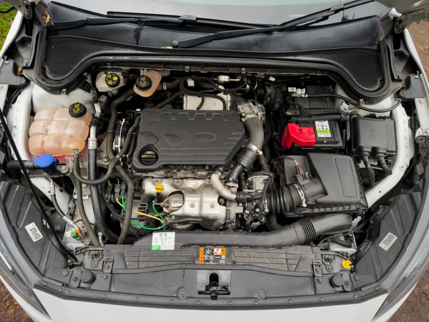 Used Ford Focus 2019 for sale - 76905714: Photo 70