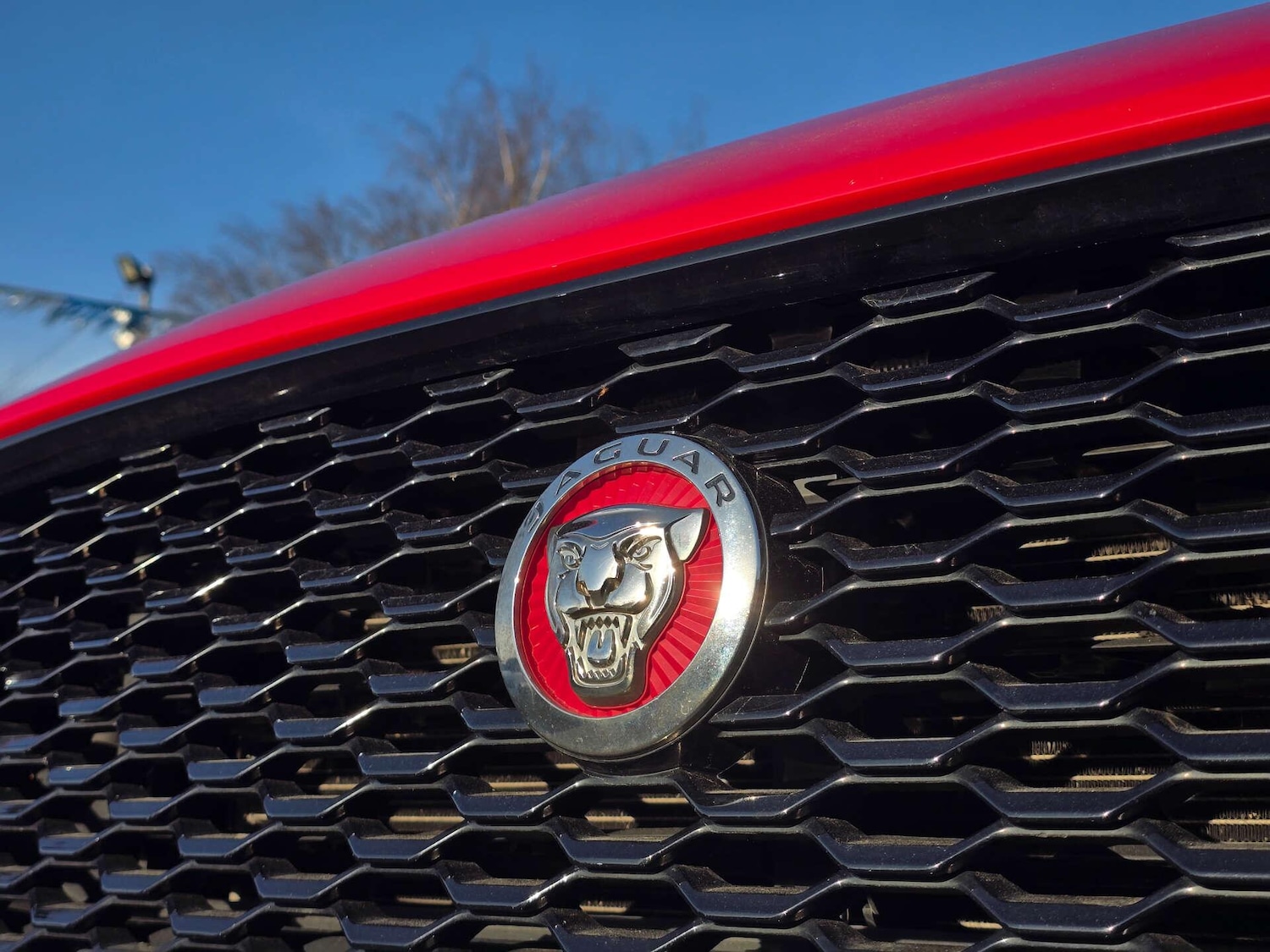 Used Jaguar E-Pace 2019 for sale - 77958190: Photo 18