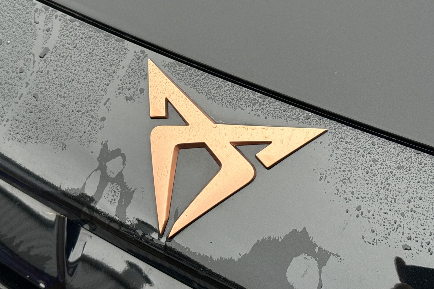 Used Cupra Formentor 2025 for sale - 77798431: Photo 29