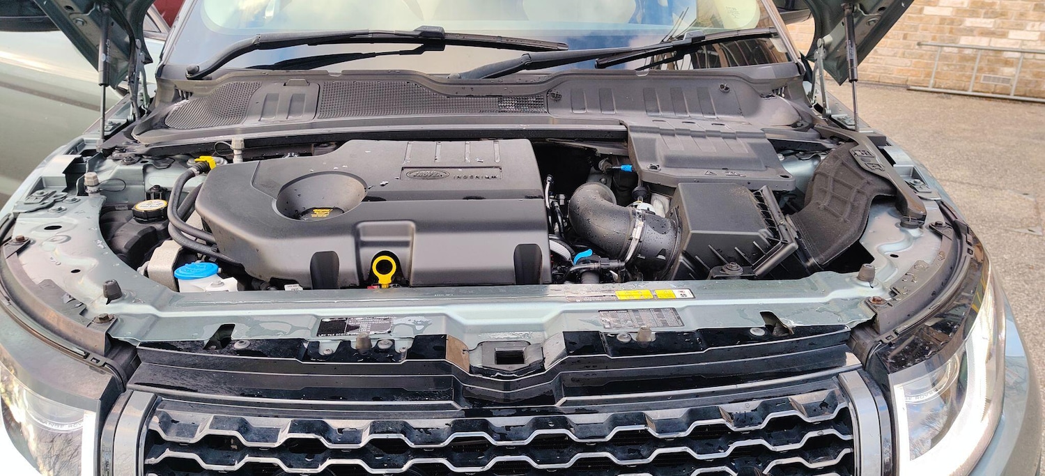 Used Land Rover Range Rover Evoque 2017 for sale - 77120601: Photo 32