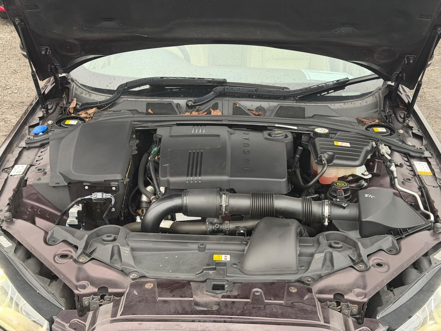 Used Jaguar XF for sale - 77823569: Photo 14