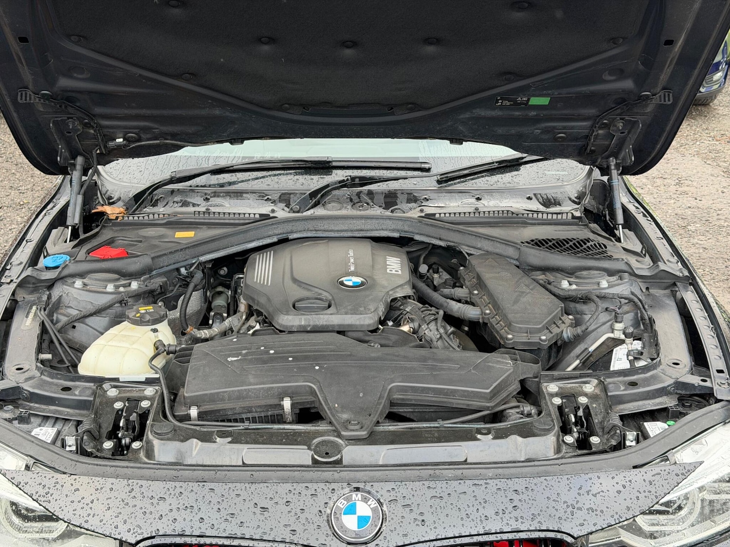 Used BMW 3 Series for sale - 77824183: Photo 16