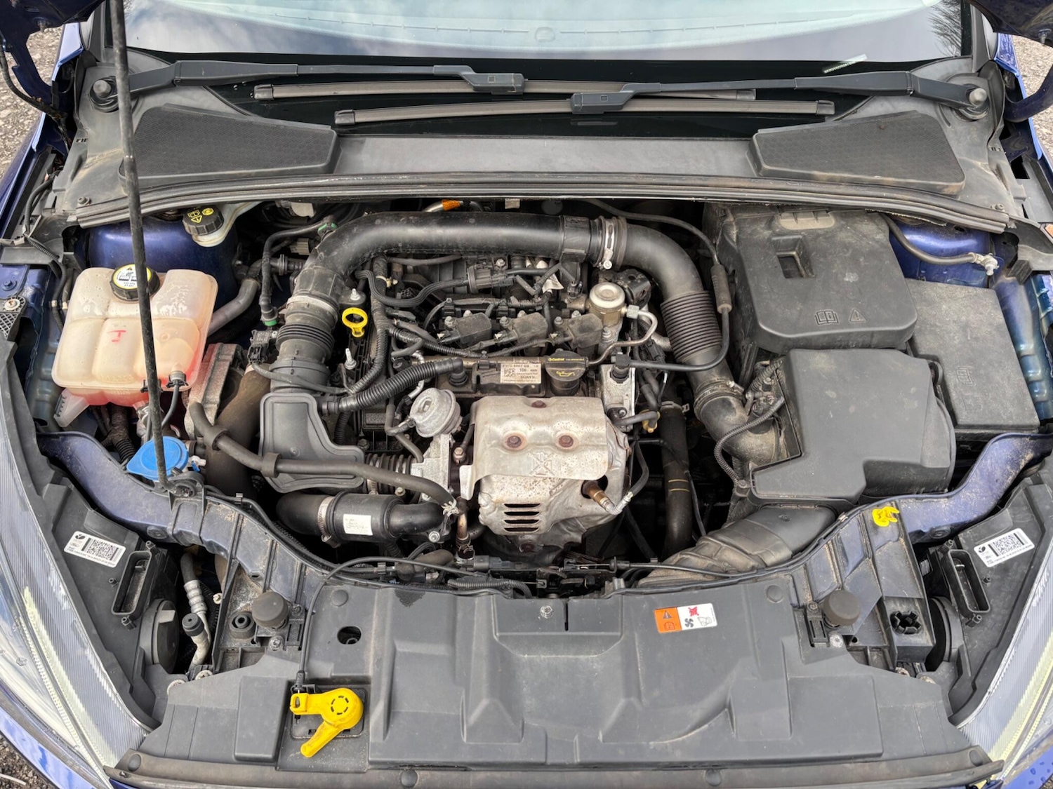 Used Ford Focus for sale - 77824500: Photo 14